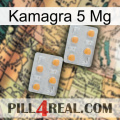 Kamagra 5 Mg 25